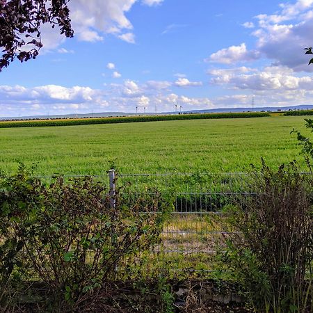 Grosse Schoenheit Mit Panoramablick Appartement Euskirchen Buitenkant foto